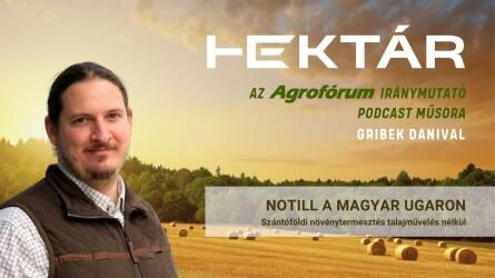 No-till a magyar ugaron - Szántóföldi növénytermesztés talajművelés nélkül