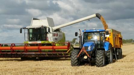 Az összes gabona termésbecslését csökkentették az EU-ban