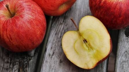 Mitől válik üvegessé az alma belseje?