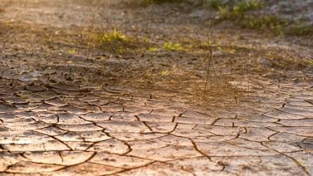 Hogyan védhetjük meg a talajt az aszálytól?