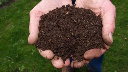 A komposzt tulajdonságai, eredete és alkalmazása