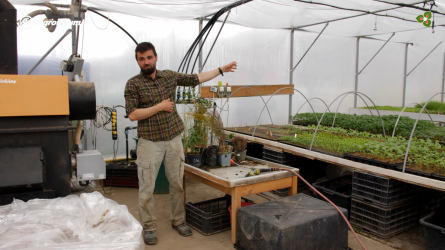 Bio palántanevelés a MagosVölgy Ökológiai Gazdaságban - vetéstől a növényvédelemig