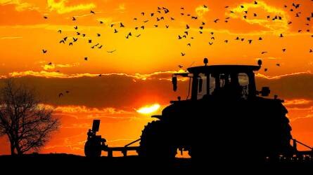 Traktorpiaci körkép – Górcső alatt 2022 első negyedéve