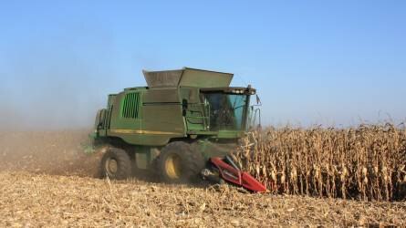 Ukrajnában eddig 17,5 millió tonna gabonát takarítottak be