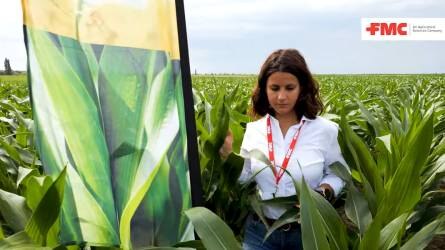 Időzítés és hatóanyag-korlátozás - Kulcskérdések a kukorica gyomirtásában