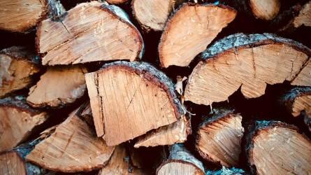 A legfontosabb tudnivalók a tűzifának alkalmas fafajokról