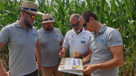SAATEN-UNION-kukoricák: stabil alap az instabil környezetben