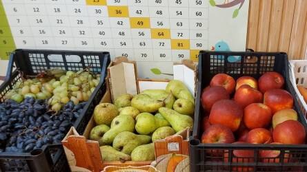 #ZöldségGyümölcsHős: 100 kilogramm zöldségnek és gyümölcsnek örülhettek a győri gyerekek