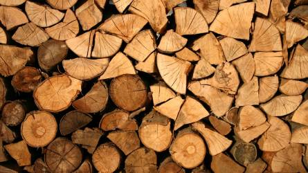 Tűzifa kérdések: erdei köbmétertől a száraz tűzifáig