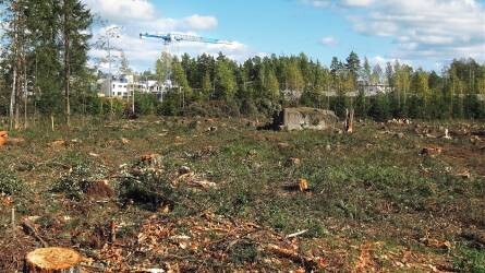 Komoly hatásokkal jár az erdőirtással kapcsolatos új uniós jogszabály