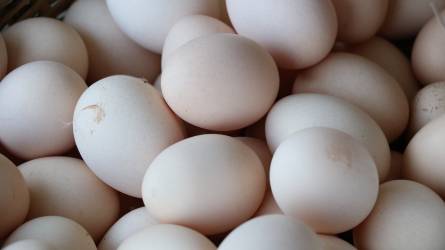 Összeroppanás felé halad a brit tojáspiac