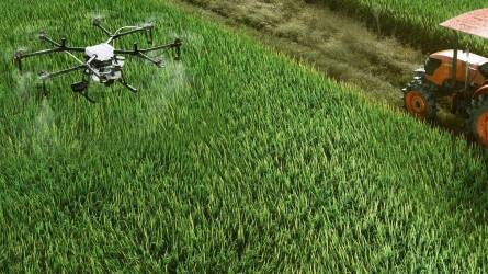Hogyan változtatják meg a mesterséges intelligenciával működő drónok az agrár-technológiai helyzetet Indiában?