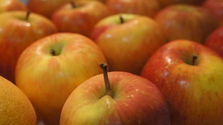 A 2022-es német almatermés 10%-kal haladja meg az elmúlt tíz év átlagát