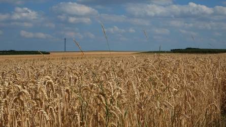 Moszkva szerint többé-kevésbé teljesül az ukrán gabonamegállapodás