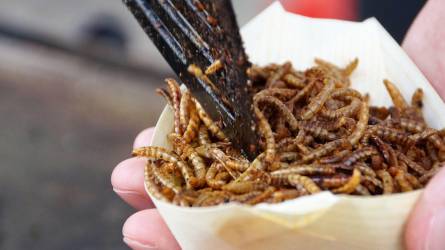 Az olaszok jelentős része nemet mond a rovarokból nyert élelmiszerekre