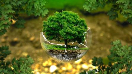 A biogazdálkodás környezeti előnyei és hátrányai