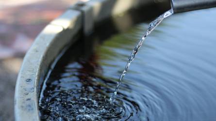 Az üvegházas kertészetek vízgazdálkodási problémái – és azok megoldásai