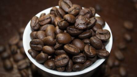Globális kávémegállapodással akarják fellendíteni az iparágat