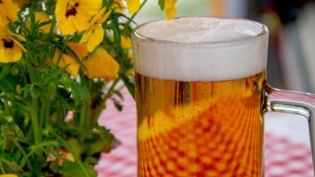 Kevesebb német sört fogyasztanak az Európai Unióban