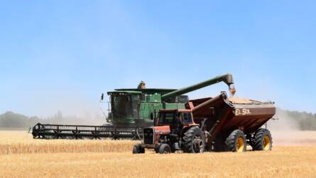 Ukrajnában megkezdődik a 2023-as gabona betakarítása