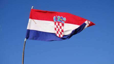 Horvátországban megerősítették az első afrikai sertéspestis-esetet