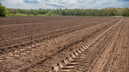 Az EU szerint a gazdálkodóknak jobban kell védeniük a talajt