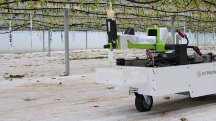 UV-C fénnyel dolgozó robot: megbízható harcos a lisztharmat ellen
