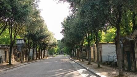 A temetők a természet számára is teret adnak még egy világvárosban is - természet és történelem a párizsi Père Lachaise temetőben