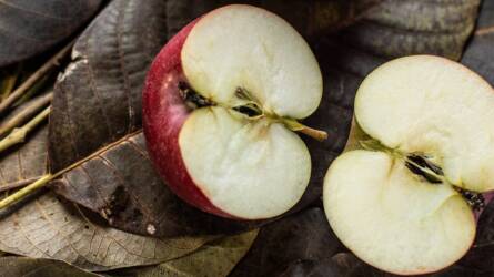 Napi egy alma a menopauzát is távol tartja?