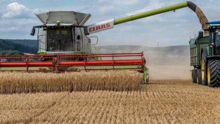 Új célpontot találhat magának az olcsó ukrán gabona – célkeresztben a német piac?