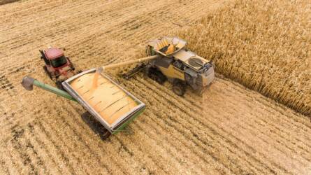 Ukrajna nem enyhítené a gabonaszállításokkal kapcsolatos álláspontját