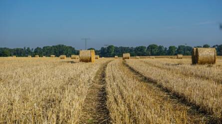 Ukrajna szeptemberi gabonaexportja 51 százalékkal zuhant