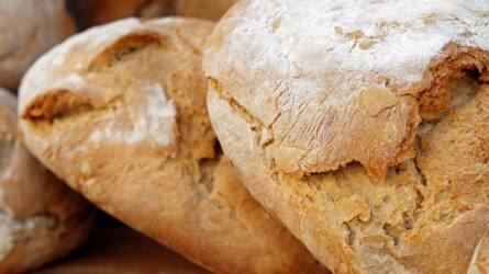 Olcsó a búza – de akkor miért méregdrága a kenyér?