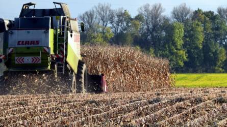 Októbertől lehet igényelni az ukrán gabonaimport miatti uniós kompenzációt