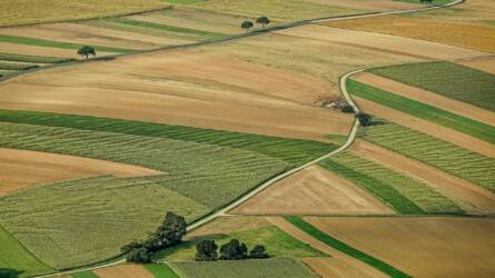 Nem jó jel: ötödével csökkent az agrárgazdaságok száma Magyarországon