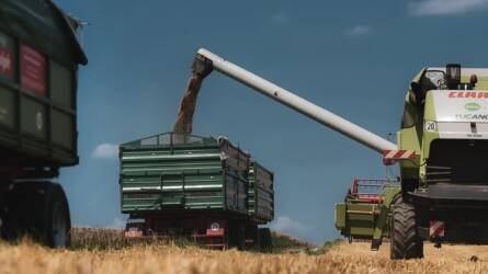 Az orosz export lassulása ellenére csökken a búza ára