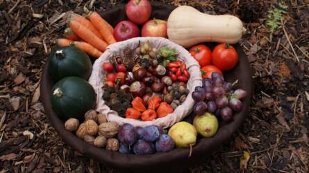 Fogyasszunk szezonális zöldségeket és gyümölcsöket! – Október