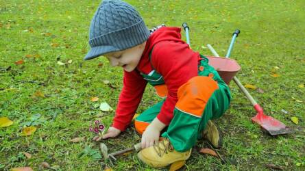 Kertészkedés ősszel – gyerekeknek