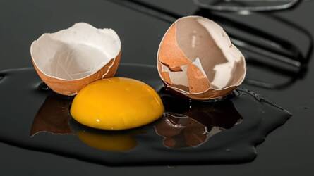 Tojássárgája és tojásfehérje: miben különböznek? 