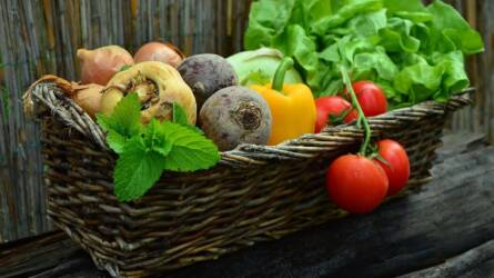 Hogyan tároljuk télen a betakarított zöldségeket?
