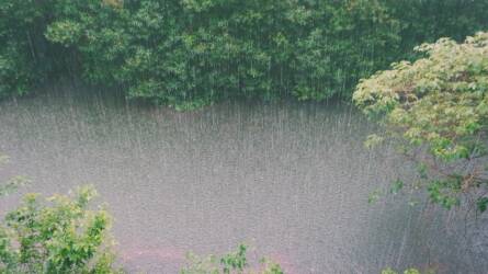 Aranyat érő esőt ígérnek a meteorológusok