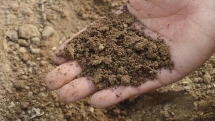 Megdöbbentő: évente 80–110 millió köbméter talajt veszítünk el Magyarországon