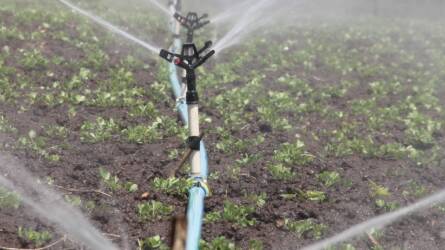 Mire használható a mágnesezett víz a mezőgazdaságban?
