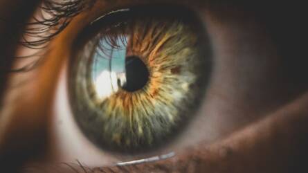 5 gyógynövény a jobb látásért