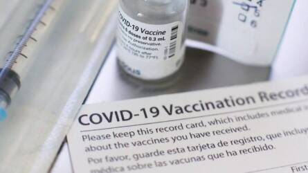 Paradicsomból COVID–19 vakcinát?