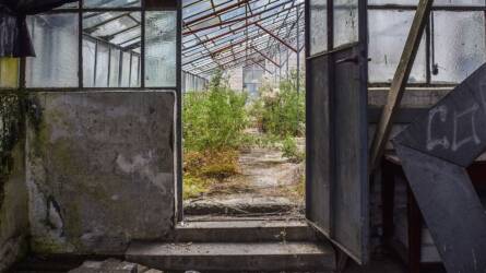 Elhagyatva állnak a bő félmilliárdért épített üvegházak Kazahsztánban