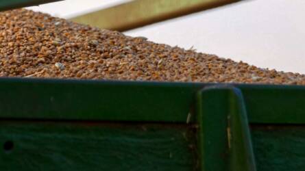 Márciusban rekordot dönthet az orosz gabonaexport