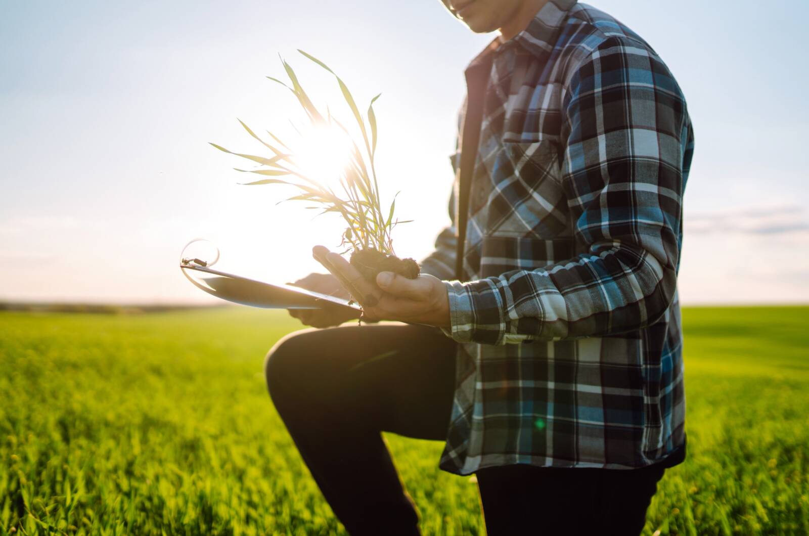 Syngenta biológiai megoldások