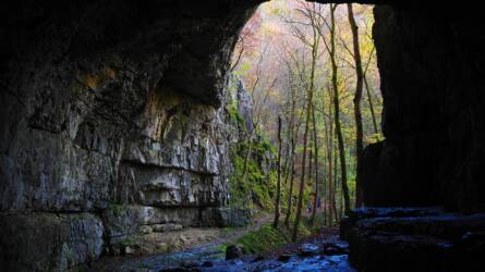 A barlangfarm havonta 1500 kg zöldséget biztosít Norvégiában