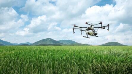 Ezt kell tudni a növényvédő szerek drónos kijuttatásának kérelmezéséről